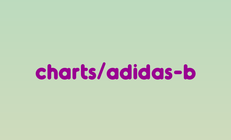 Adidas Boy Grade School Size Chart