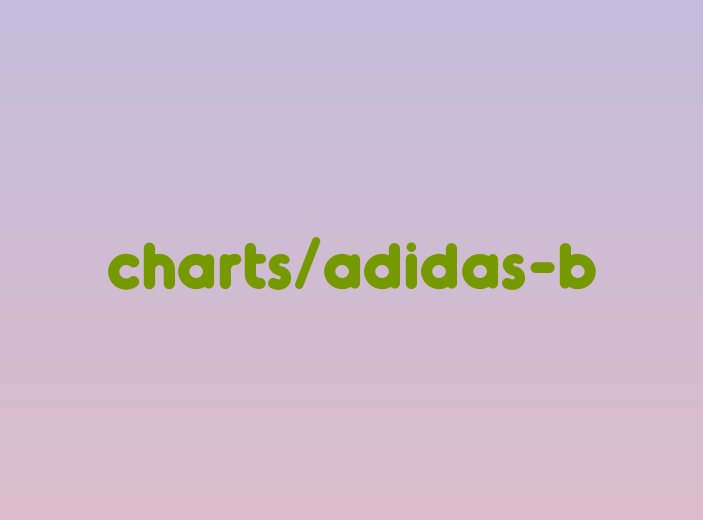 Adidas Boy Grade School Size Chart