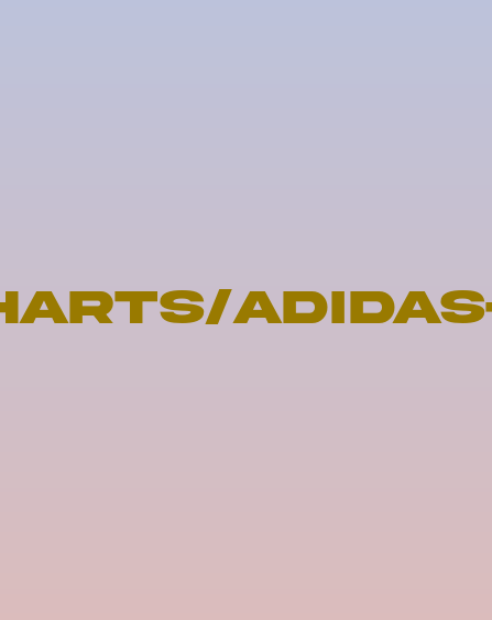 Adidas Boy Grade School Size Chart